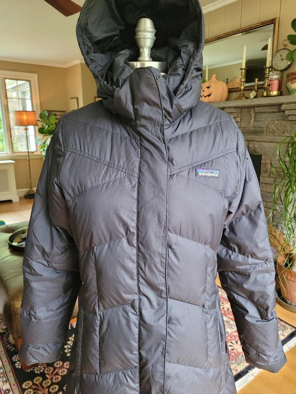 Patagonia Down With It Parka - Picture 6 of 16